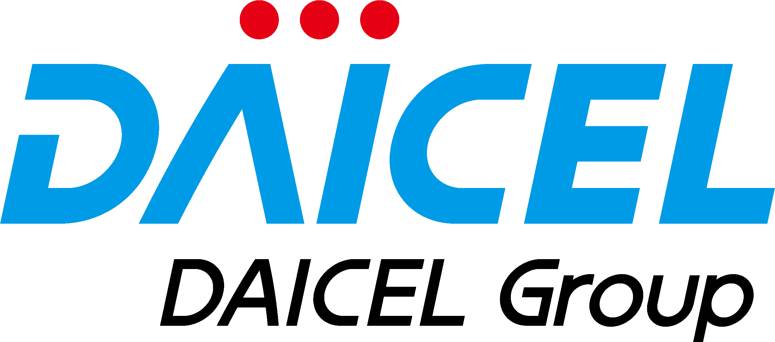 DAICEL GROUP